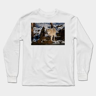 Arctic Wolf Long Sleeve T-Shirt